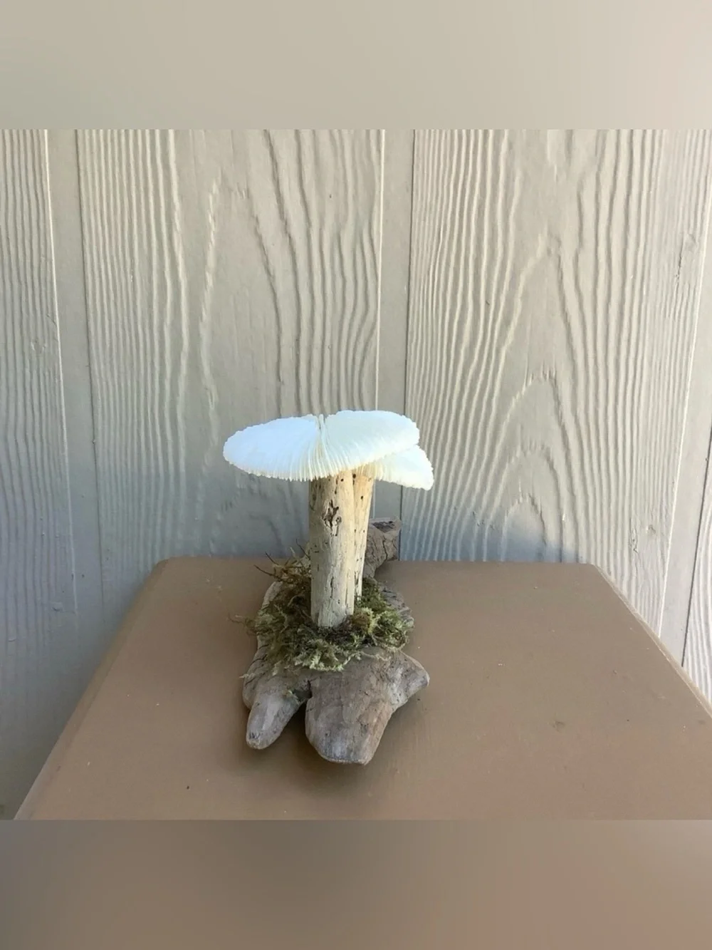 Driftwood Art, Driftwood and Coral Mushrooms, Mushroom Art, Coastal Art